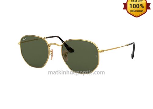 RayBan Hexagonal RB3548N-001