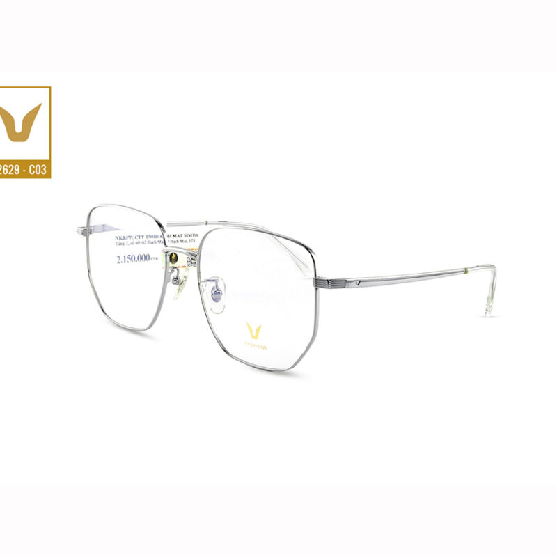 Gọng Kính V Like It Feels V2629 3 Gong Kinh V Like It Feels V2629 C03 1