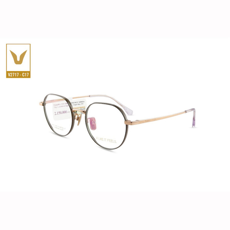 Gong Kinh V Like It Feels V2717 C17