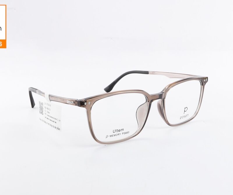 Gong Kinh Nhua Ultem Poson P660 C6