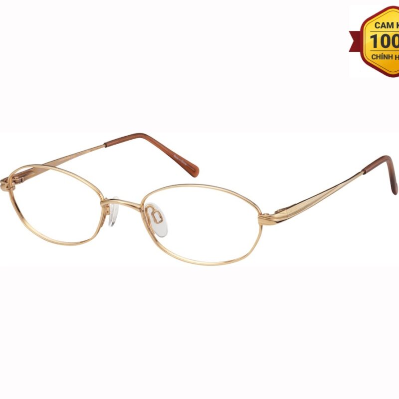 Gọng Kính Titanium Charmant Blue CH16048 GP