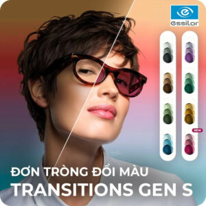 trong kinh Transitions
