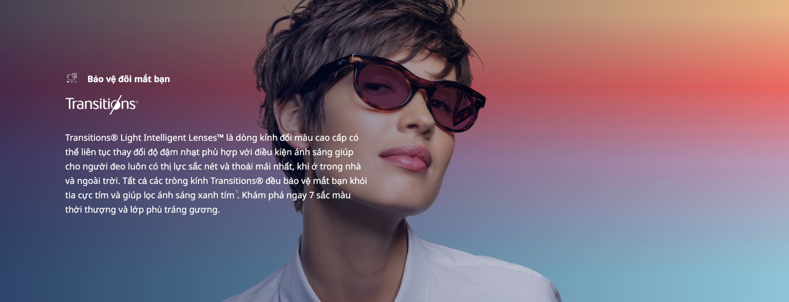 trong kinh Transitions scaled