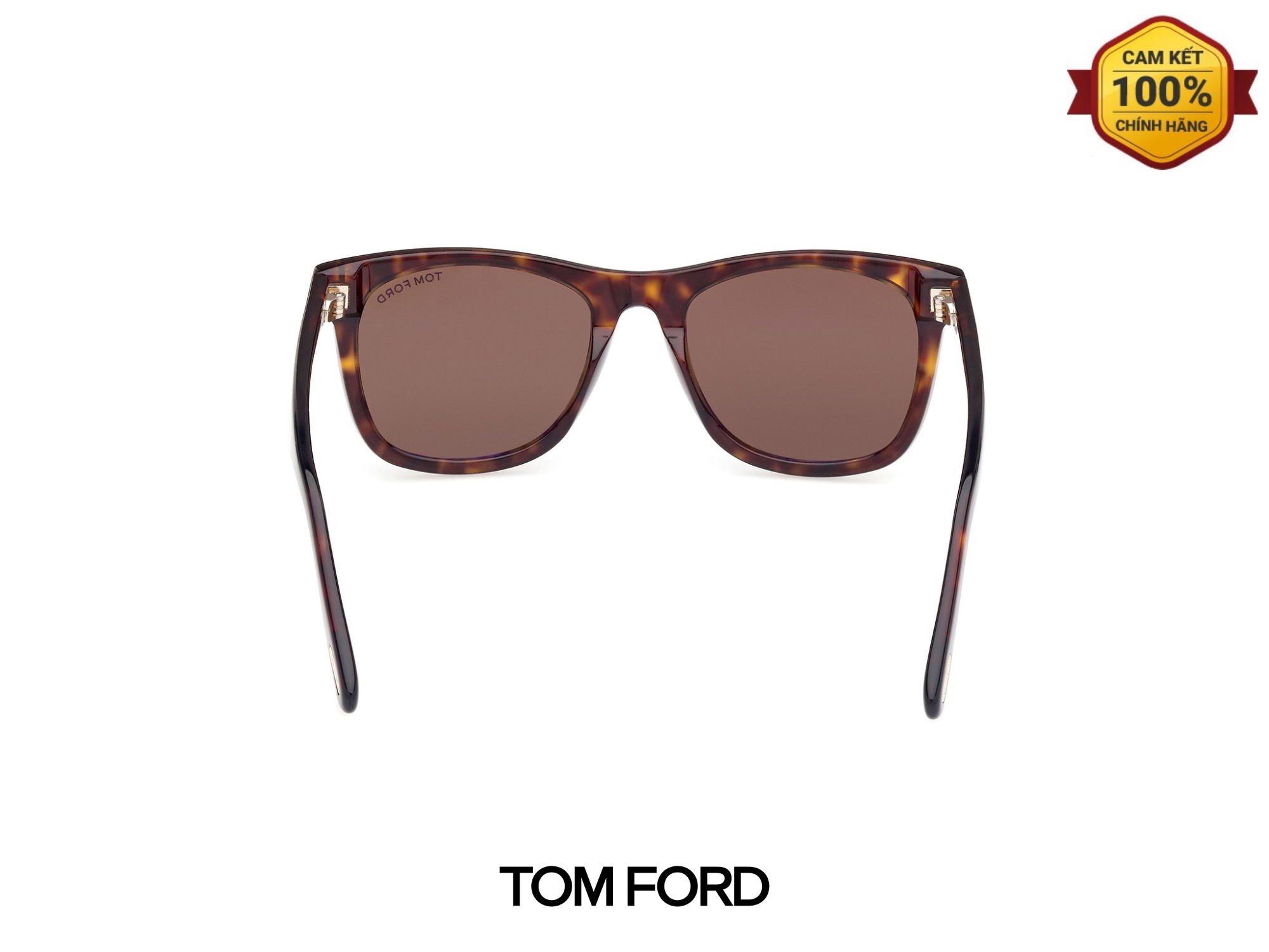 Kính Mát Tom Ford TF1099 52J 03 Kinh Mat Tom Ford TF1099 52J 03