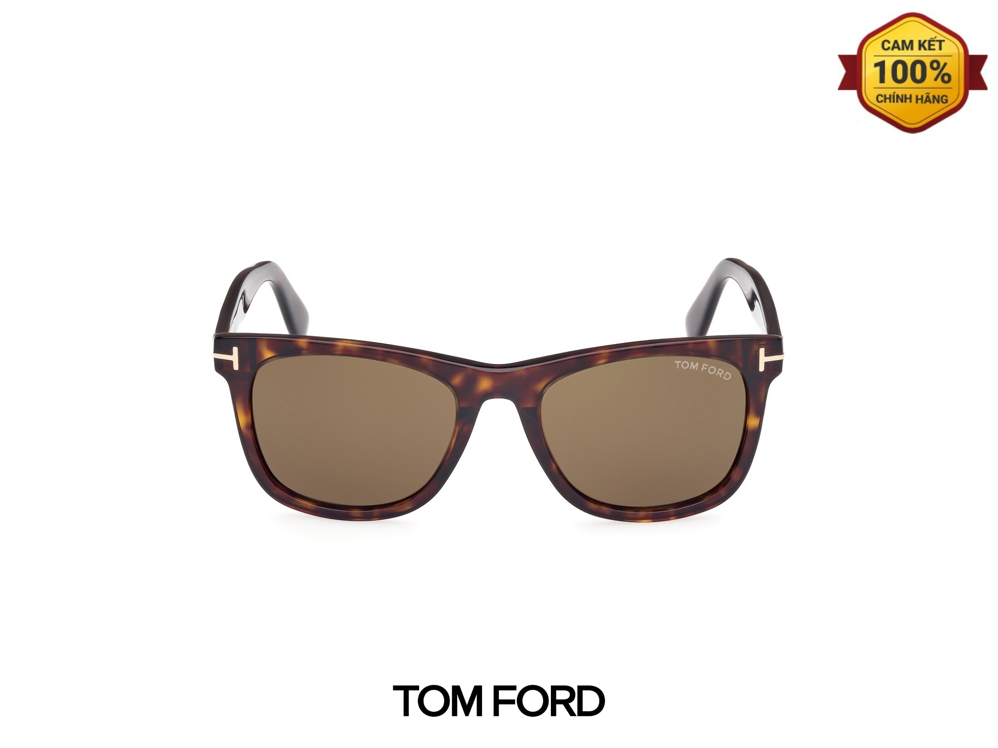 Kính Mát Tom Ford TF1099 52J 04 Kinh Mat Tom Ford TF1099 52J 04