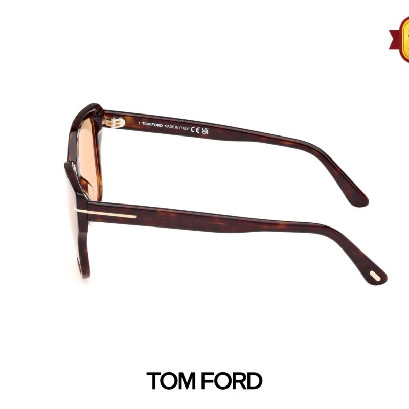 Kính Mát Tom Ford TF1108 52E 2 Kinh Mat Tom Ford TF1108 52E 01