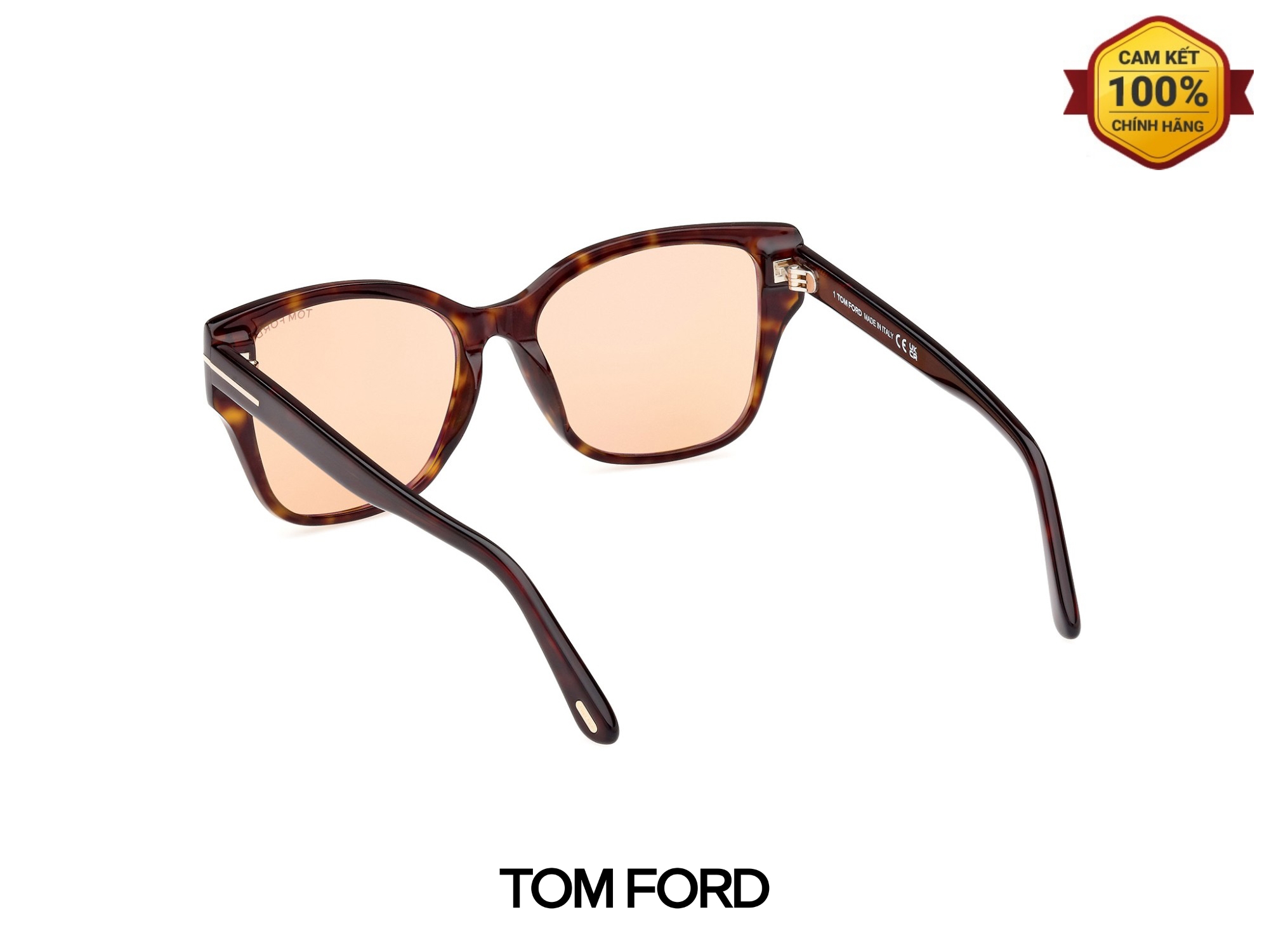 Kính Mát Tom Ford TF1108 52E 02 Kinh Mat Tom Ford TF1108 52E 02