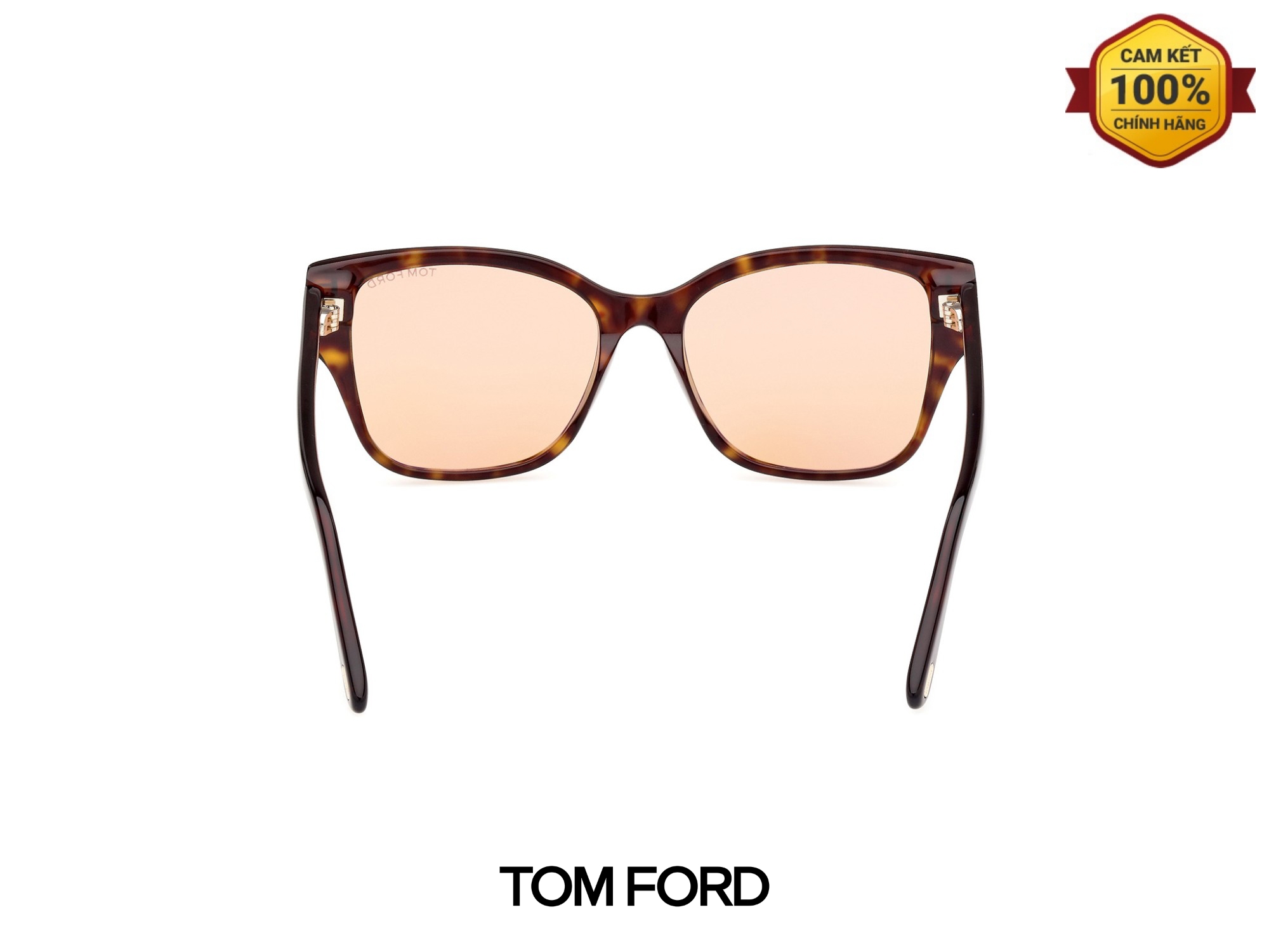 Kính Mát Tom Ford TF1108 52E 03 Kinh Mat Tom Ford TF1108 52E 03