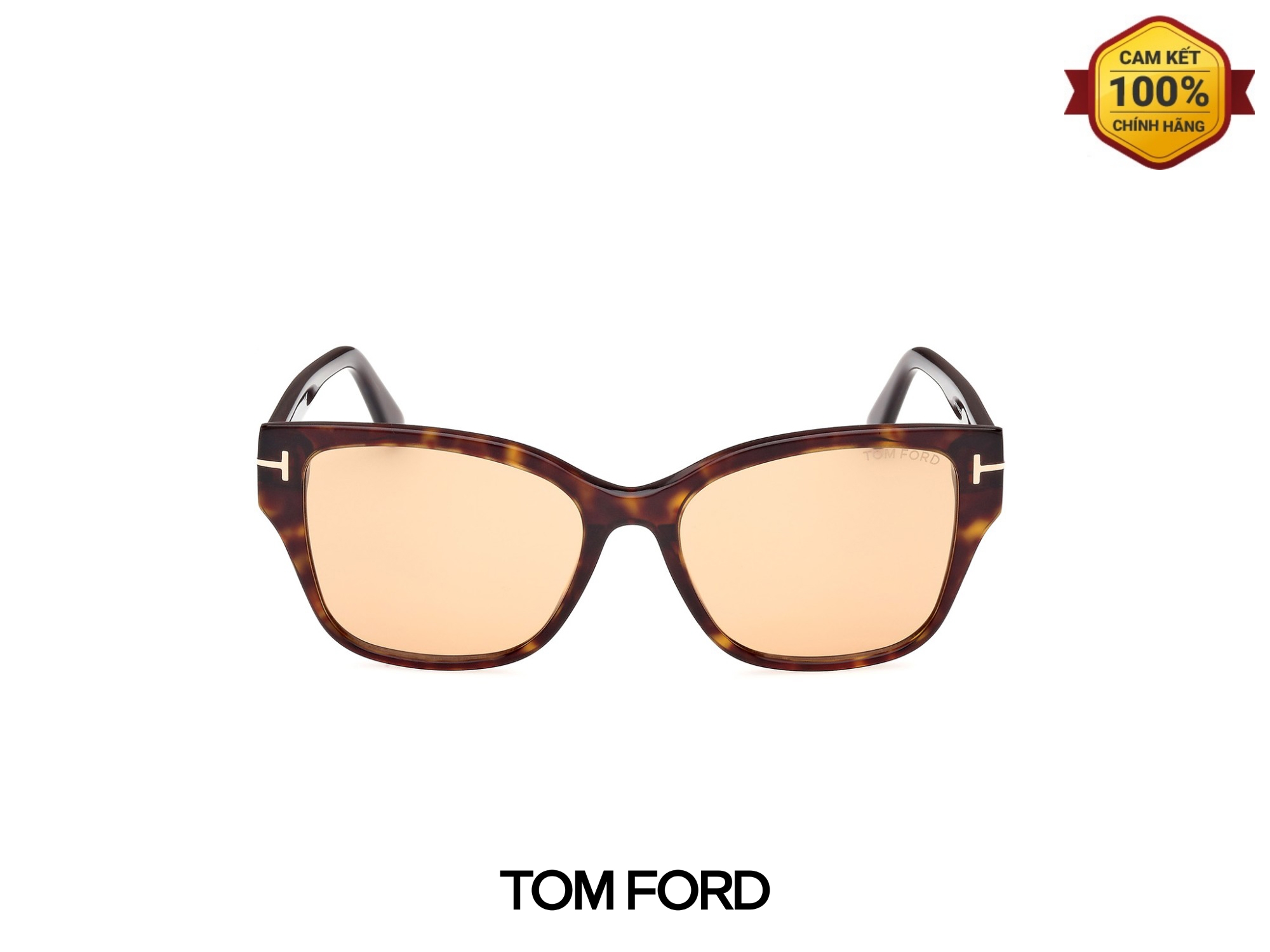 Kính Mát Tom Ford TF1108 52E 04 Kinh Mat Tom Ford TF1108 52E 04