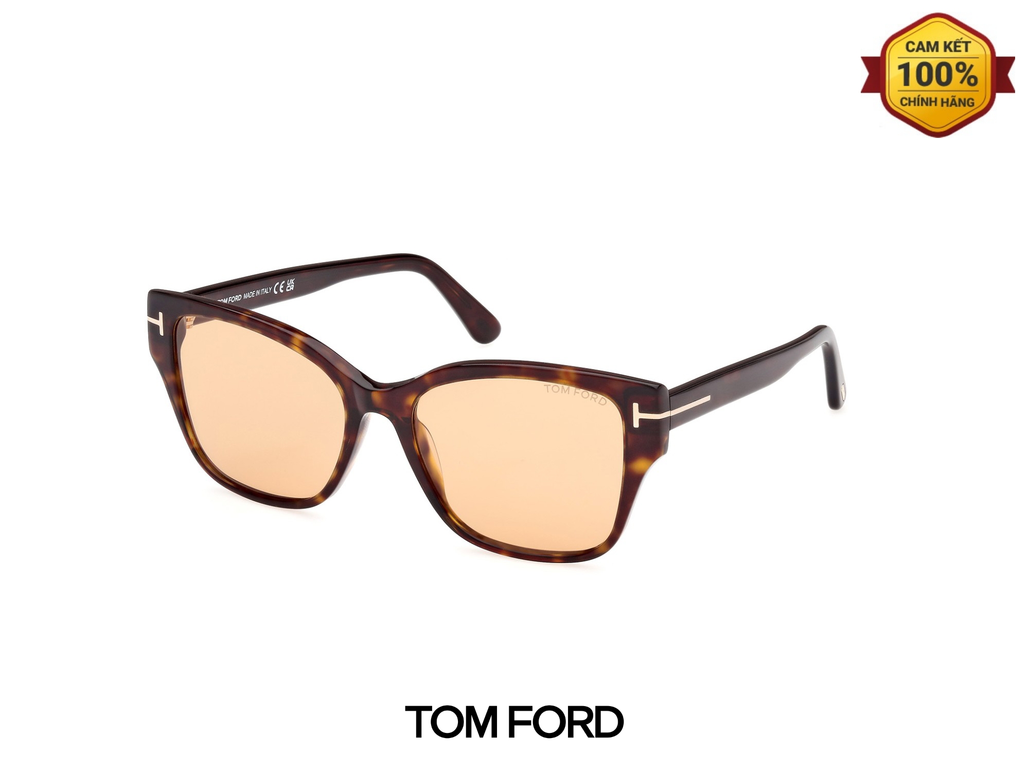 Kính Mát Tom Ford TF1108 52E Kinh Mat Tom Ford TF1108 52E