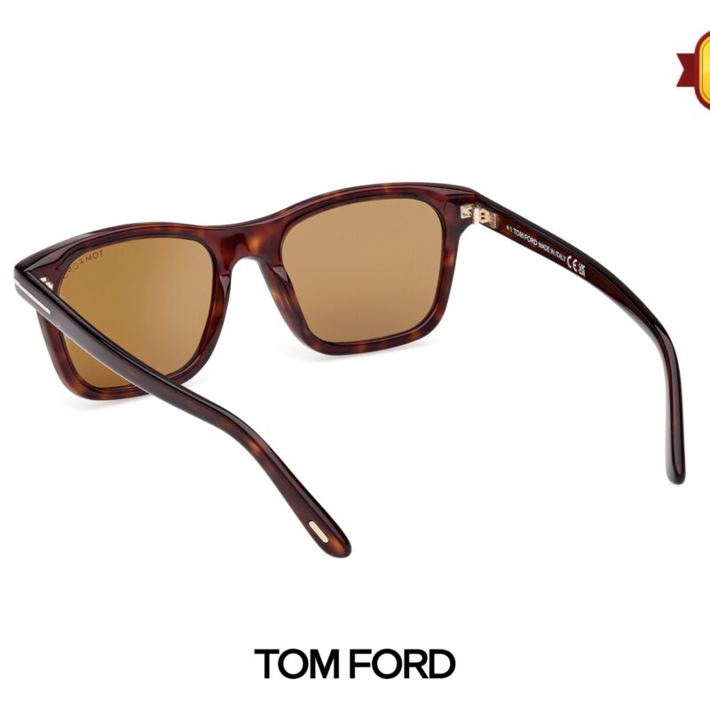 Kinh Mat Tom Ford TF1179 52E 02