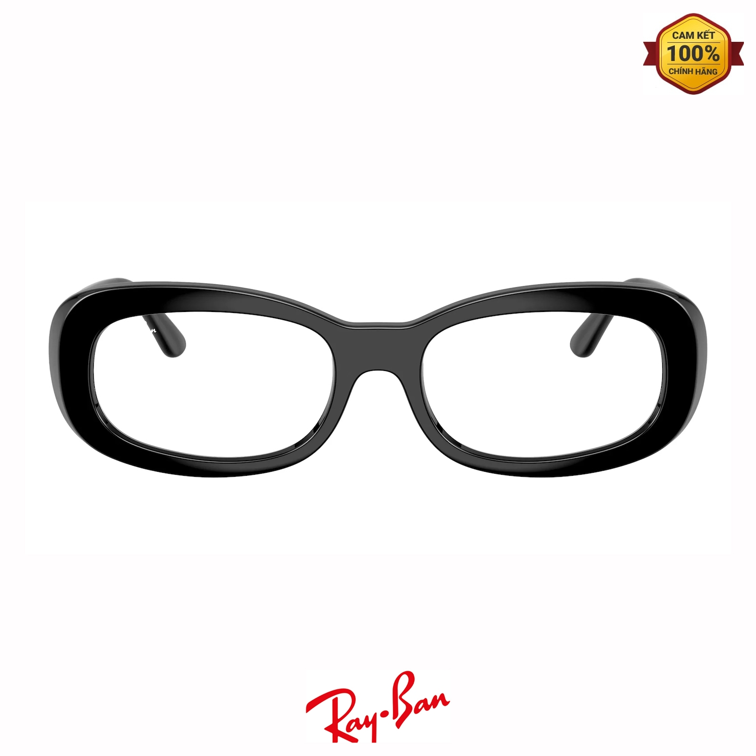 Bản sao Gọng Kính RayBan RB2221VF 2000 03 Ban sao Gong Kinh RayBan RB2221VF 2000 03