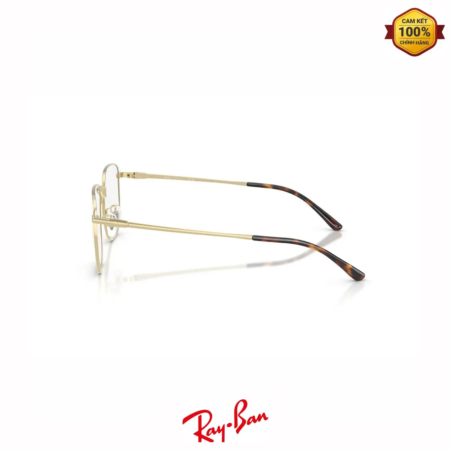 Gọng Kính RayBan RB8776D 1251 02 Gong Kinh RayBan RB8776D 1251 02